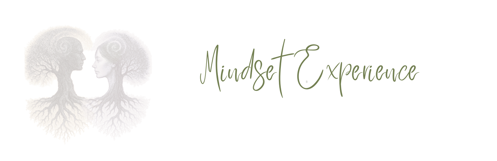 Mindset Experience
