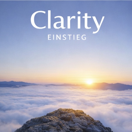 Clarity Einstieg - Orientierung und ersten Sortierungen